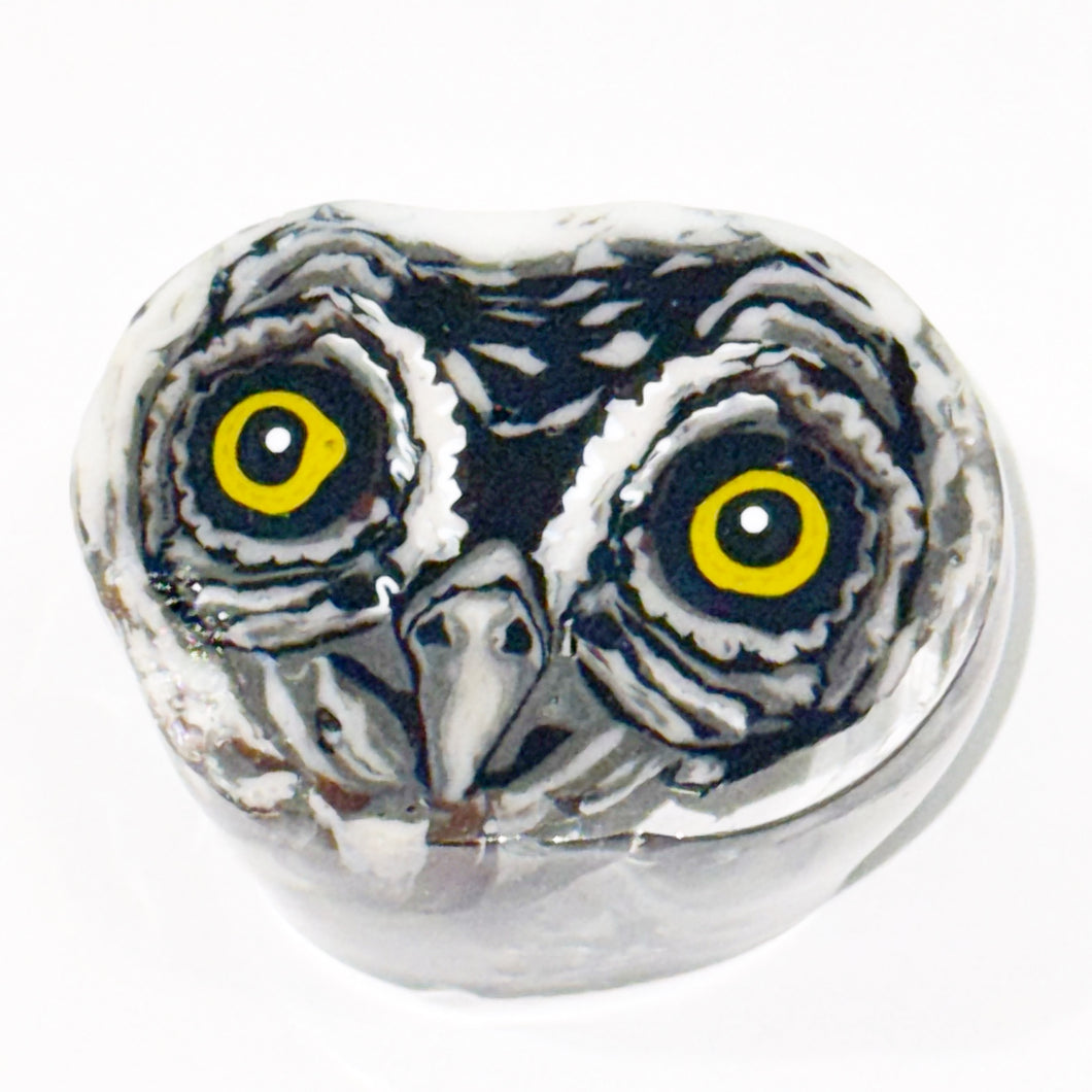 Stephen Boehme Owl Eyes Paperweight