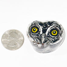 Load image into Gallery viewer, Stephen Boehme Owl Eyes Paperweight

