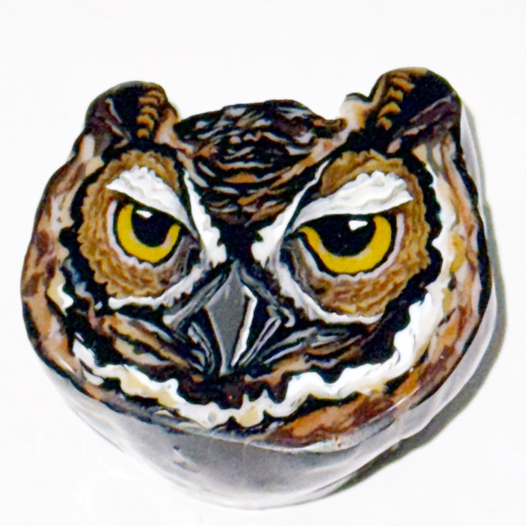 Stephen Boehme Owl Eyes Paperweight