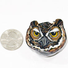 Load image into Gallery viewer, Stephen Boehme Owl Eyes Paperweight
