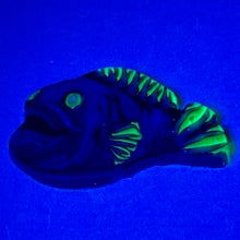 Load image into Gallery viewer, Stephen Boehme Angler Fish Coin
