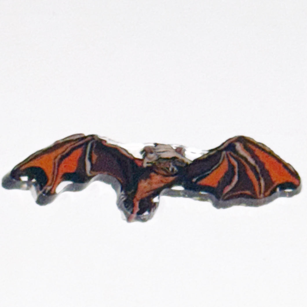 Stephen Boehme Bat Coin