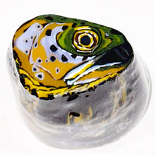 Load image into Gallery viewer, Stephen Boehme Fish Head Paperweight
