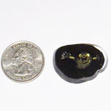 Load image into Gallery viewer, Stephen Boehme Slimer Coin
