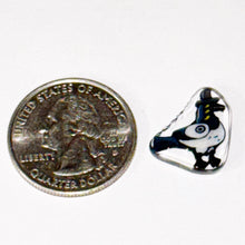 Load image into Gallery viewer, Zac Otlowski Demon Pigeon Coin

