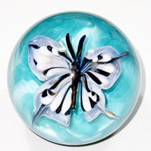 Load image into Gallery viewer, Grover Glass Butterfly Implosion Marble
