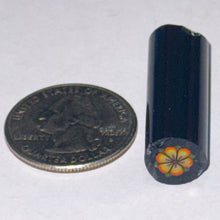 Load image into Gallery viewer, Malachi Wilkinson Flower Cane
