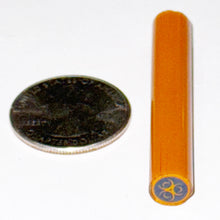 Load image into Gallery viewer, Erik Anders Radioactive Symbol Cane
