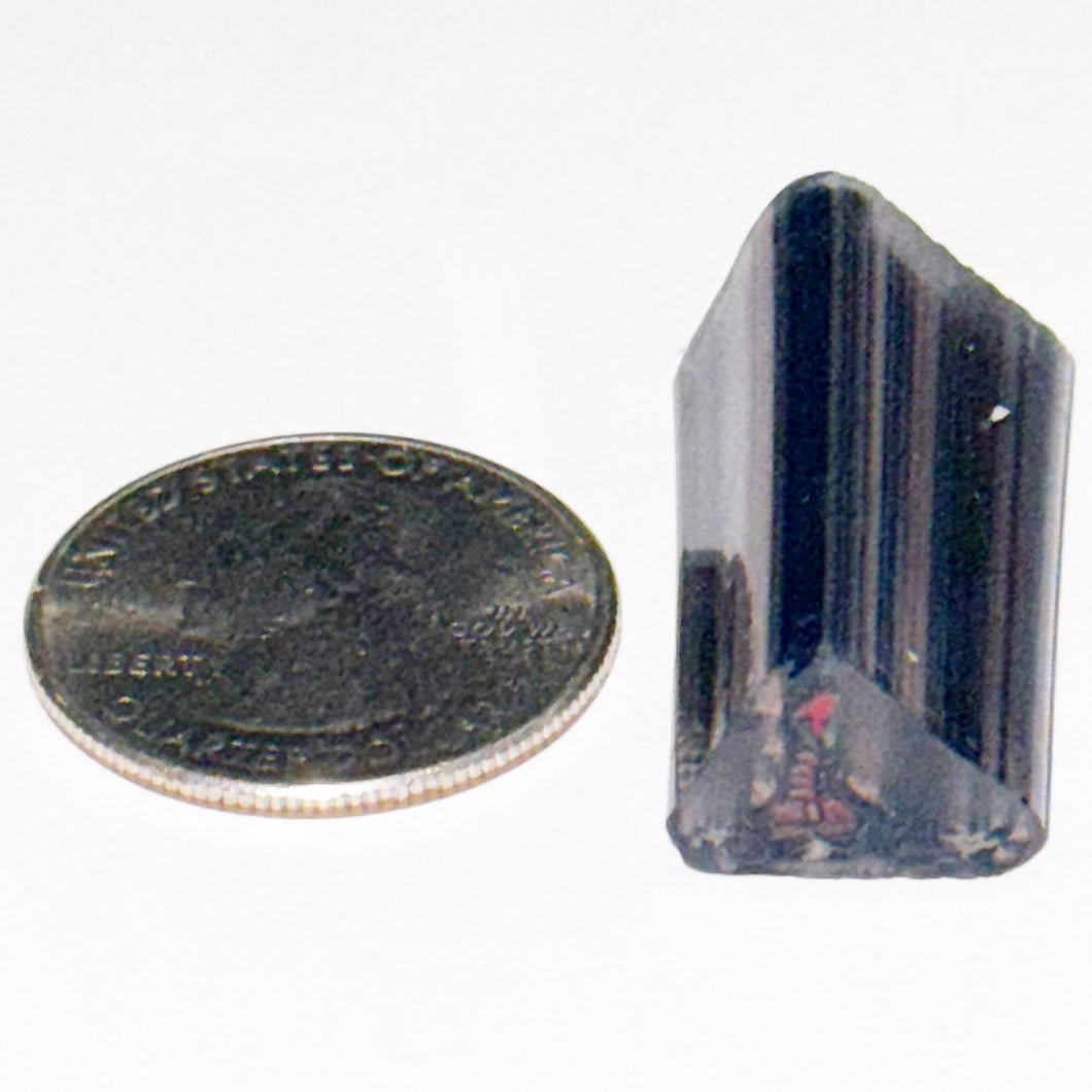 Brandon Kainz Godzilla Cane