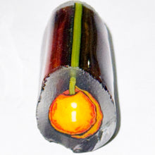 Load image into Gallery viewer, Robert Koch Apricot Cane
