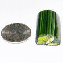 Load image into Gallery viewer, Robert Koch Fuckin Frogs Cane
