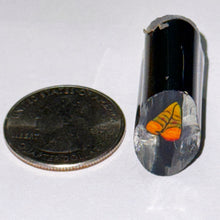 Load image into Gallery viewer, Robert Koch Leaf Cane
