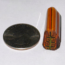 Load image into Gallery viewer, Robert Koch Leaf Cluster Cane
