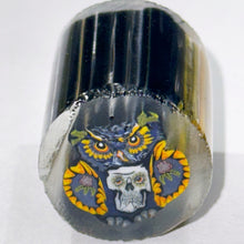 Load image into Gallery viewer, Robert Koch x Stephen Boehme Owl Cane
