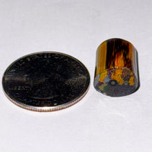 Load image into Gallery viewer, Tara Roberts Wolf Scene v2 Cane
