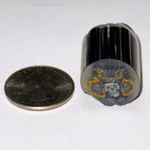 Load image into Gallery viewer, Robert Koch x Stephen Boehme Owl Cane
