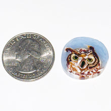Load image into Gallery viewer, Stephen Boehme Owl Coin
