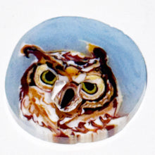 Load image into Gallery viewer, Stephen Boehme Owl Coin
