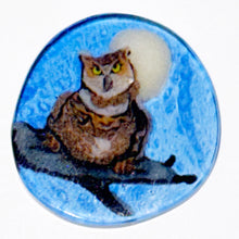 Load image into Gallery viewer, Stephen Boehme Fat Owl Coin
