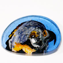 Load image into Gallery viewer, Stephen Boehme Parrot Head Coin
