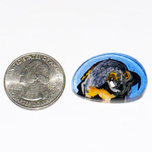 Load image into Gallery viewer, Stephen Boehme Parrot Head Coin
