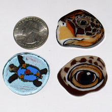 Load image into Gallery viewer, Stephen Boehme x Dapo Glass Hawaiian Tortoise Coin Set
