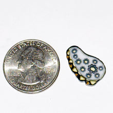 Load image into Gallery viewer, Stephen Boehme Paisley Coin (UV)
