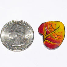 Load image into Gallery viewer, Stephen Boehme Leaf Coin
