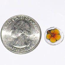 Load image into Gallery viewer, Dapo Glass Hibiscus Flower Coin
