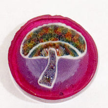 Load image into Gallery viewer, Jeff Heathbar Mushroom Coin
