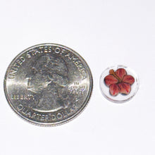 Load image into Gallery viewer, Stephen Boehme x Dapo Glass Hibiscus Flower
