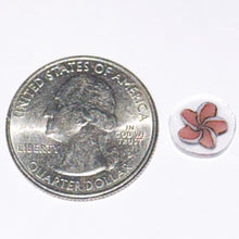 Load image into Gallery viewer, Stephen Boehme Plumara Flower Chip
