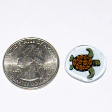 Load image into Gallery viewer, Stephen Boehme Turtle Coin
