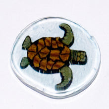 Load image into Gallery viewer, Stephen Boehme Turtle Coin

