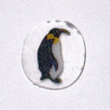 Load image into Gallery viewer, DH Colwell Penguin Chip
