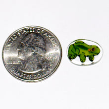 Load image into Gallery viewer, Brandon Kainz Frog Chip
