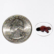 Load image into Gallery viewer, Brandon Kainz Beaver Chip
