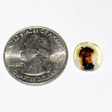 Load image into Gallery viewer, DH Colwell David Bowie Chip
