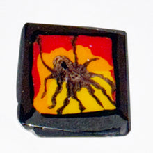 Load image into Gallery viewer, Stephen Boehme Haunted House Spider Window Coin

