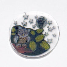Load image into Gallery viewer, Stephen Boehme x Dapo Glass Owl &amp; Moon Coin (UV)
