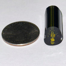 Load image into Gallery viewer, Robert Koch Bee Cane
