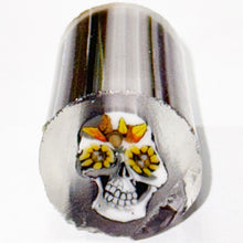 Load image into Gallery viewer, Robert Koch x Stephen Boehme Fall Skull Cane v2
