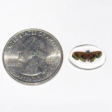 Load image into Gallery viewer, Stephen Boehme Death Moth Chip
