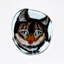 Load image into Gallery viewer, Stephen Boehme Cat Coin
