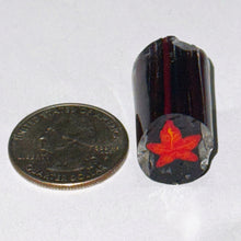 Load image into Gallery viewer, Robert Koch Maple Leaf Cane
