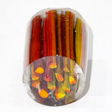 Load image into Gallery viewer, Robert Koch Fall Leaves Cluster Cane
