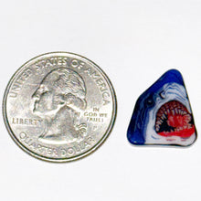 Load image into Gallery viewer, Brandon Kainz Jaws Coin
