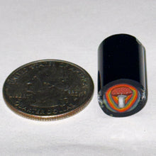 Load image into Gallery viewer, Dave Strobel Mushroom Cane
