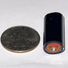 Load image into Gallery viewer, Dave Strobel Mushroom Cane
