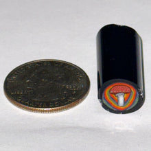 Load image into Gallery viewer, Dave Strobel Mushroom Cane
